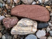 Brauner Konglomeratstein neben weißem, schwarzem und rötlichem Stein